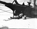 Image of Loading sledge under the Morrissey's bow